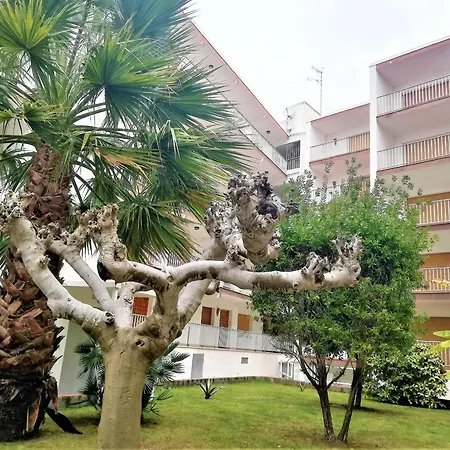 Apartment En Roses, 2ª Linea De Playa, Con Terraza, Wifi Y Parking Comunitario - Es-258-31